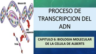 PROCESO DE
TRANSCRIPCION DEL
ADN
CAPITULO 6: BIOLOGIA MOLECULAR
DE LA CELULA DE ALBERTS

 