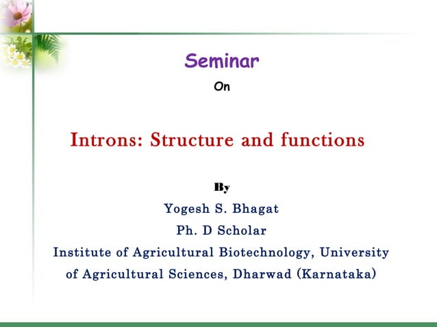 Introns: structure and functions | PPT