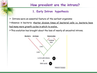 Introns: structure and functions | PPT