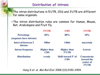 Introns: structure and functions | PPT