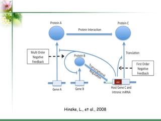 Introns: structure and functions | PPT