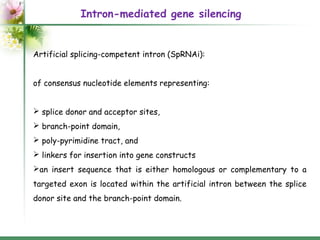 Branch Point Intron Introns: structure and functions | PPT