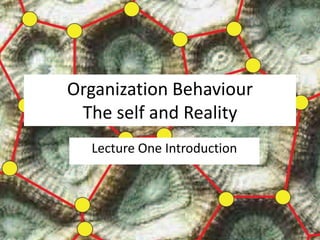 Organization Behaviour
 The self and Reality
  Lecture One Introduction
 