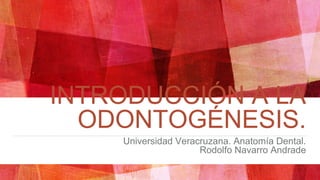 INTRODUCCIÓN A LA
ODONTOGÉNESIS.
Universidad Veracruzana. Anatomía Dental.
Rodolfo Navarro Andrade
 