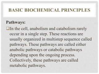 INTRODUCTION OF BIOCHEMISTRY SLIDES.pptx