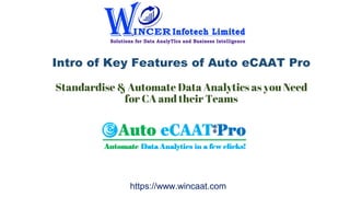 Intro of Key Features of Auto eCAAT Pro
Standardise & Automate Data Analytics as you Need
for CA and their Teams
https://www.wincaat.com
 