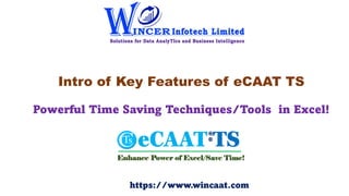 Intro of Key Features of eCAAT TS
Powerful Time Saving Techniques/Tools in Excel!
https://www.wincaat.com
 