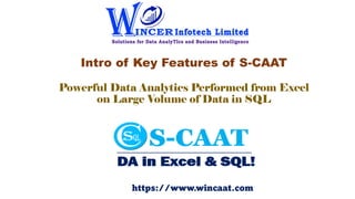 Intro of Key Features of S-CAAT
Powerful Data Analytics Performed from Excel
on Large Volume of Data in SQL
https://www.wincaat.com
 
