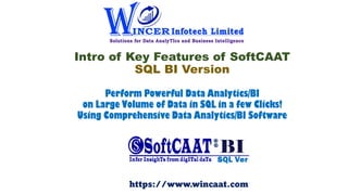 Intro of Key Features of SoftCAAT
SQL BI Version
Perform Powerful Data Analytics/BI
on Large Volume of Data in SQL in a few Clicks!
Using Comprehensive Data Analytics/BI Software
https://www.wincaat.com
 