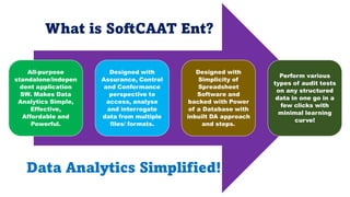 Functional Capabilities of CAATs
What
Specific
objective
s that
should be
addressed
by the
analysis
When
Define the
period...