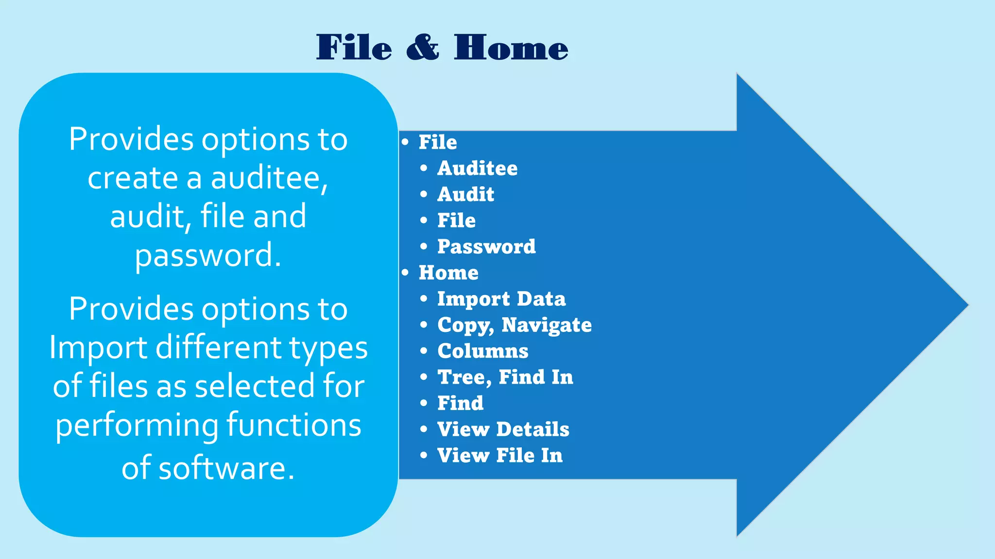 File & Home
• File
• Auditee
• Audit
• File
• Password
• Home
• Import Data
• Copy, Navigate
• Columns
• Tree, Find In
• Find
• View Details
• View File In
Provides options to
create a auditee,
audit, file and
password.
Provides options to
Import different types
of files as selected for
performing functions
of software.
 
