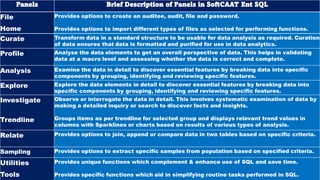 Panels Brief Description of Panels in SoftCAAT Ent SQL
File
Home
Provides options to create an auditee, audit, file and password.
Provides options to import different types of files as selected for performing functions.
Curate Transform data in a standard structure to be usable for data analysis as required. Curation
of data ensures that data is formatted and purified for use in data analytics.
Profile Analyse the data elements to get an overall perspective of data. This helps in validating
data at a macro level and assessing whether the data is correct and complete.
Analysis Examine the data in detail to discover essential features by breaking data into specific
components by grouping, identifying and reviewing specific features.
Explore Explore the data elements in detail to discover essential features by breaking data into
specific components by grouping, identifying and reviewing specific features.
Investigate
Trendline
Observe or interrogate the data in detail. This involves systematic examination of data by
making a detailed inquiry or search to discover facts and insights.
Groups items as per trendline for selected group and displays relevant trend values in
columns with Sparklines or charts based on results of various types of analysis.
Relate Provides options to join, append or compare data in two tables based on specific criteria.
Sampling Provides options to extract specific samples from population based on specified criteria.
Utilities
Tools
Provides unique functions which complement & enhance use of SQL and save time.
Provides specific functions which aid in simplifying routine tasks performed in SQL.
 