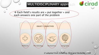 © adapted from Schelling 2016 and Darbellay 2008
MULTIDISCIPLINARY approach
 Each field’s results are « put together » and
each answers one part of the problem
 