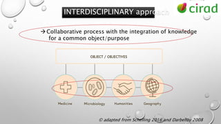© adapted from Schelling 2016 and Darbellay 2008
INTERDISCIPLINARY approach
Collaborative process with the integration of knowledge
for a common object/purpose
 