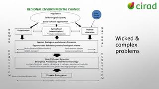 Wicked &
complex
problems
 