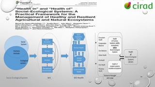 Brief introduction to the One Health concept, and beyond