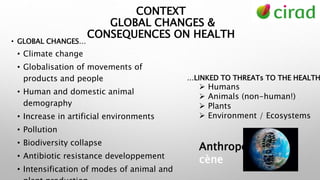 Brief introduction to the One Health concept, and beyond