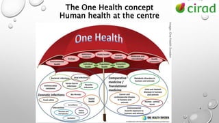 Brief introduction to the One Health concept, and beyond