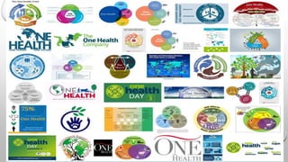 Brief introduction to the One Health concept, and beyond