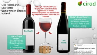 Brief introduction to the One Health concept, and beyond