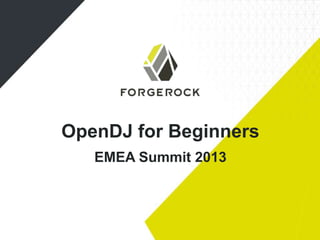 OpenDJ for Beginners
EMEA Summit 2013

 