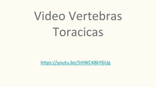 Video Vertebras
Toracicas
https://youtu.be/5HWC48kYGUg
 