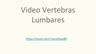 Video Vertebras
Lumbares
https://youtu.be/v7wzuDjwpBE
 