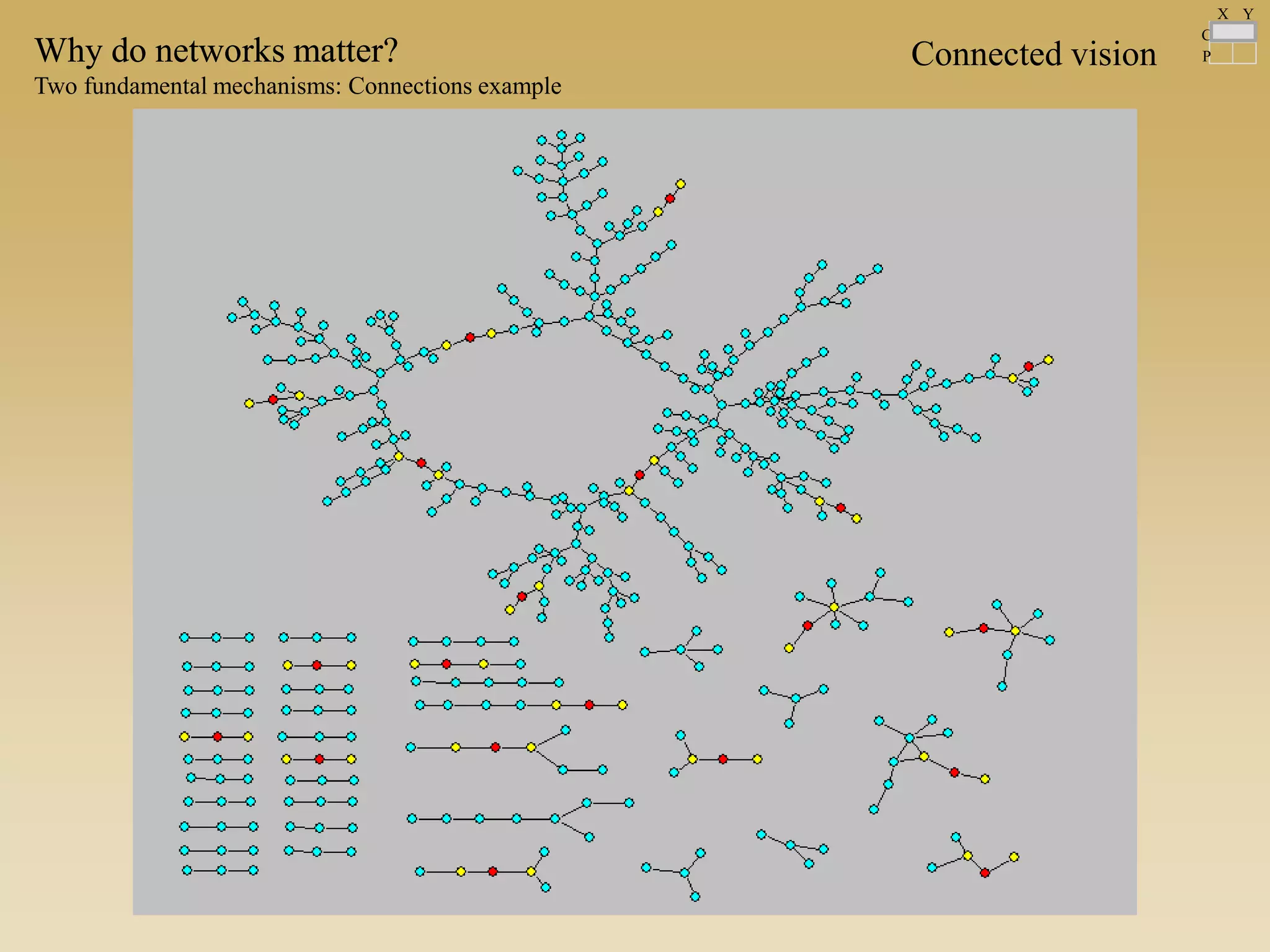Connected visionWhy do networks matter?Why do networks matter?
Two fundamental mechanisms: Connections example
C
P
X Y
 
