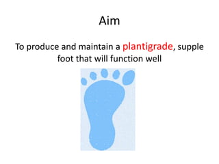 Aim
To produce and maintain a plantigrade, supple
foot that will function well
 
