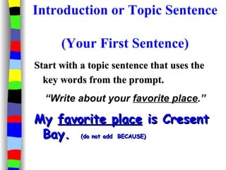 Introduction to Paragraphs | PPT | Zoos & Aquariums | Attractions
