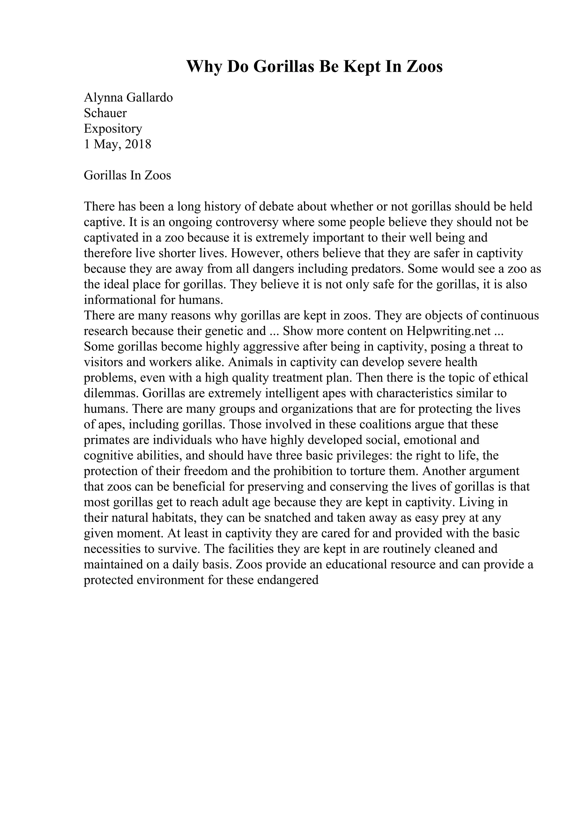 Why Do Gorillas Be Kept In Zoos
Alynna Gallardo
Schauer
Expository
1 May, 2018
Gorillas In Zoos
There has been a long history of debate about whether or not gorillas should be held
captive. It is an ongoing controversy where some people believe they should not be
captivated in a zoo because it is extremely important to their well being and
therefore live shorter lives. However, others believe that they are safer in captivity
because they are away from all dangers including predators. Some would see a zoo as
the ideal place for gorillas. They believe it is not only safe for the gorillas, it is also
informational for humans.
There are many reasons why gorillas are kept in zoos. They are objects of continuous
research because their genetic and ... Show more content on Helpwriting.net ...
Some gorillas become highly aggressive after being in captivity, posing a threat to
visitors and workers alike. Animals in captivity can develop severe health
problems, even with a high quality treatment plan. Then there is the topic of ethical
dilemmas. Gorillas are extremely intelligent apes with characteristics similar to
humans. There are many groups and organizations that are for protecting the lives
of apes, including gorillas. Those involved in these coalitions argue that these
primates are individuals who have highly developed social, emotional and
cognitive abilities, and should have three basic privileges: the right to life, the
protection of their freedom and the prohibition to torture them. Another argument
that zoos can be beneficial for preserving and conserving the lives of gorillas is that
most gorillas get to reach adult age because they are kept in captivity. Living in
their natural habitats, they can be snatched and taken away as easy prey at any
given moment. At least in captivity they are cared for and provided with the basic
necessities to survive. The facilities they are kept in are routinely cleaned and
maintained on a daily basis. Zoos provide an educational resource and can provide a
protected environment for these endangered
 