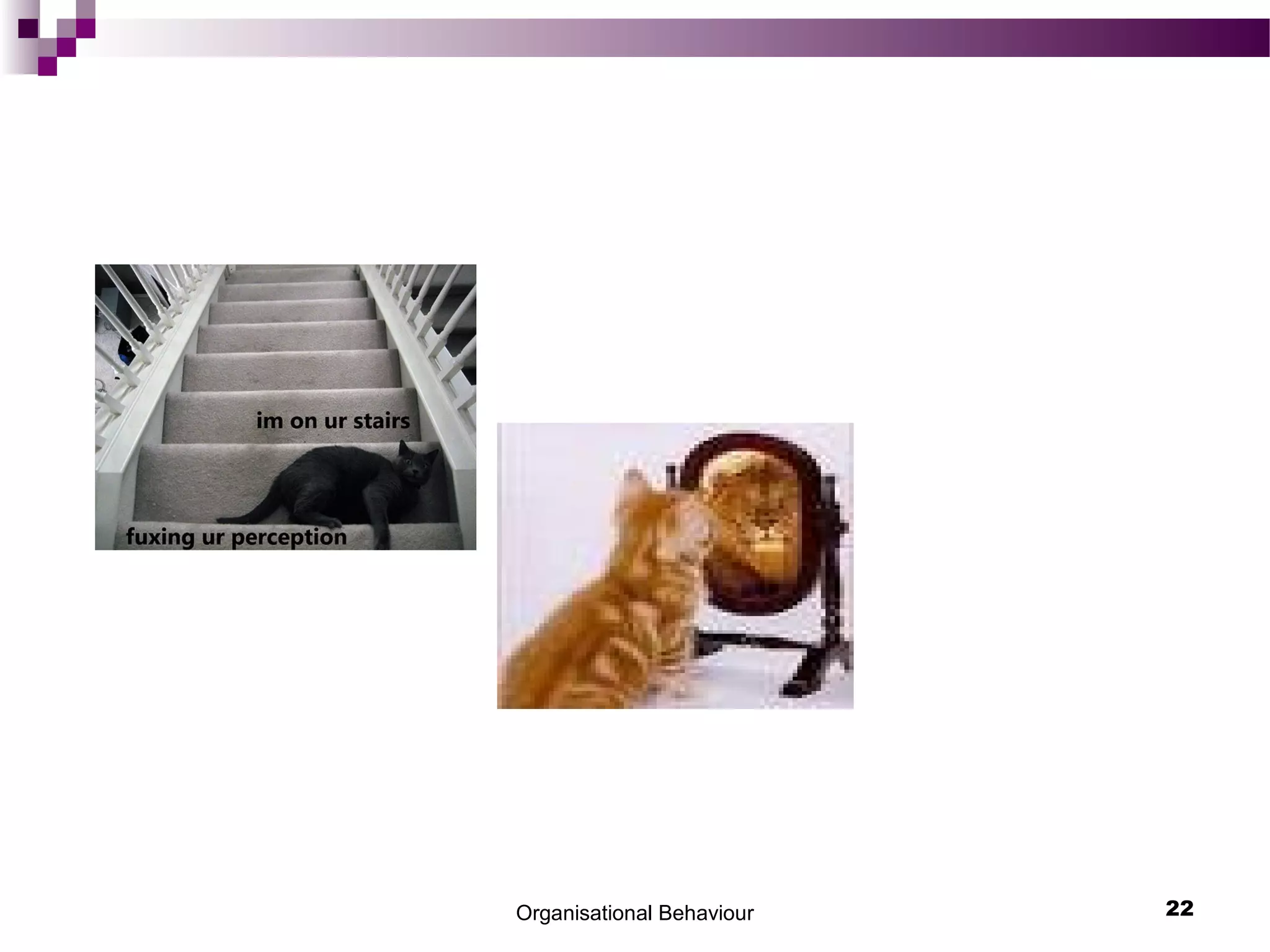 Organisational Behaviour 22
 