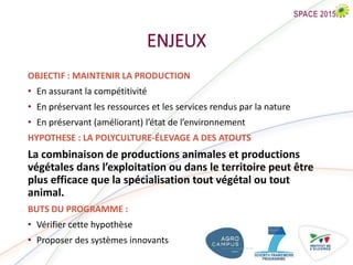 ENJEUX
OBJECTIF : MAINTENIR LA PRODUCTION
• En assurant la compétitivité
• En préservant les ressources et les services rendus par la nature
• En préservant (améliorant) l’état de l’environnement
HYPOTHESE : LA POLYCULTURE-ÉLEVAGE A DES ATOUTS
La combinaison de productions animales et productions
végétales dans l’exploitation ou dans le territoire peut être
plus efficace que la spécialisation tout végétal ou tout
animal.
BUTS DU PROGRAMME :
• Vérifier cette hypothèse
• Proposer des systèmes innovants