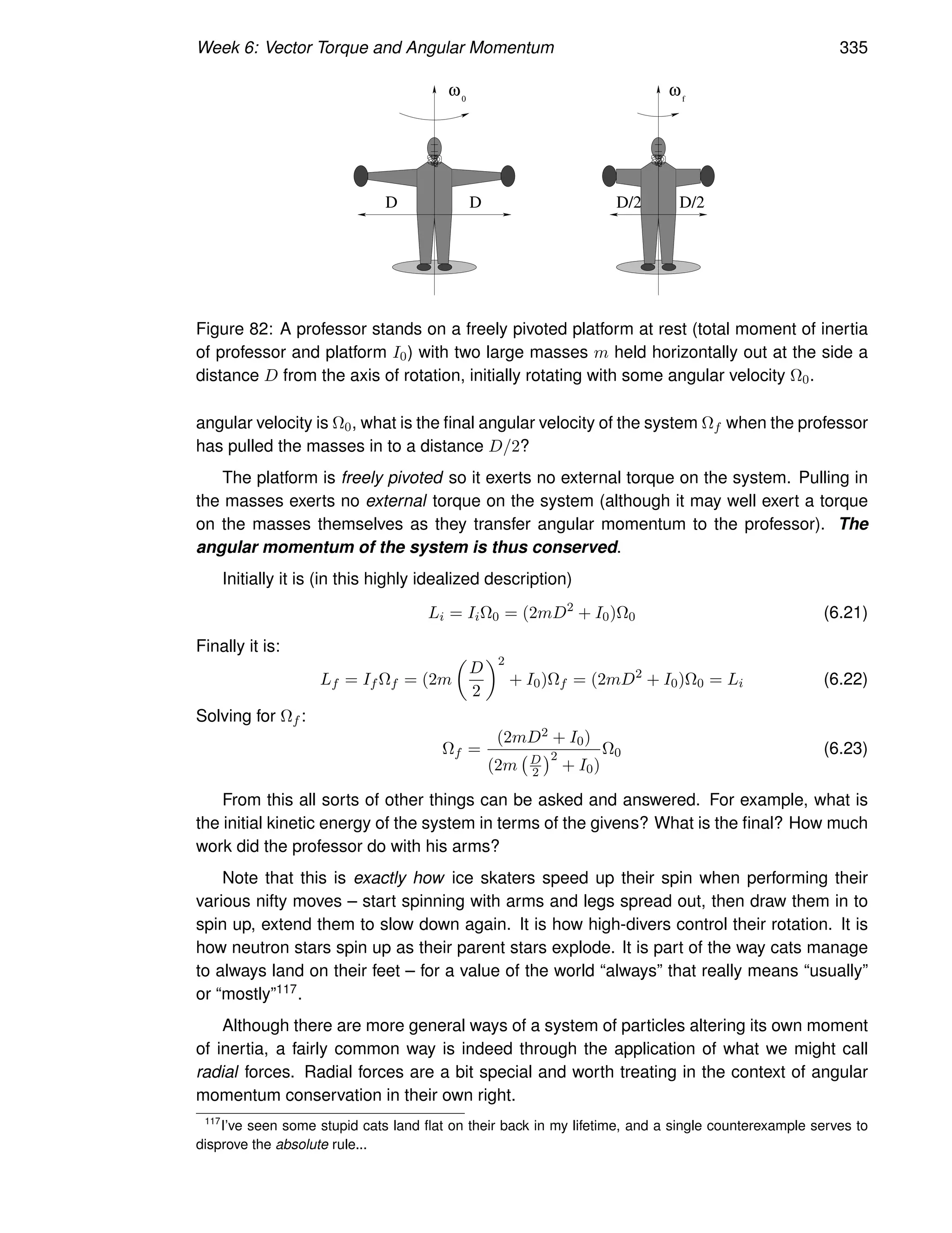 Week 6: Vector Torque and Angular Momentum 335
D D/2 D/2
D
ω ω
0 f
Figure 82: A professor stands on a freely pivoted platform at rest (total moment of inertia
of professor and platform I0) with two large masses m held horizontally out at the side a
distance D from the axis of rotation, initially rotating with some angular velocity Ω0.
angular velocity is Ω0, what is the final angular velocity of the system Ωf when the professor
has pulled the masses in to a distance D/2?
The platform is freely pivoted so it exerts no external torque on the system. Pulling in
the masses exerts no external torque on the system (although it may well exert a torque
on the masses themselves as they transfer angular momentum to the professor). The
angular momentum of the system is thus conserved.
Initially it is (in this highly idealized description)
Li = IiΩ0 = (2mD2
+ I0)Ω0 (6.21)
Finally it is:
Lf = If Ωf = (2m

D
2
2
+ I0)Ωf = (2mD2
+ I0)Ω0 = Li (6.22)
Solving for Ωf :
Ωf =
(2mD2 + I0)
(2m D
2
2
+ I0)
Ω0 (6.23)
From this all sorts of other things can be asked and answered. For example, what is
the initial kinetic energy of the system in terms of the givens? What is the final? How much
work did the professor do with his arms?
Note that this is exactly how ice skaters speed up their spin when performing their
various nifty moves – start spinning with arms and legs spread out, then draw them in to
spin up, extend them to slow down again. It is how high-divers control their rotation. It is
how neutron stars spin up as their parent stars explode. It is part of the way cats manage
to always land on their feet – for a value of the world “always” that really means “usually”
or “mostly”117.
Although there are more general ways of a system of particles altering its own moment
of inertia, a fairly common way is indeed through the application of what we might call
radial forces. Radial forces are a bit special and worth treating in the context of angular
momentum conservation in their own right.
117
I’ve seen some stupid cats land flat on their back in my lifetime, and a single counterexample serves to
disprove the absolute rule...
 