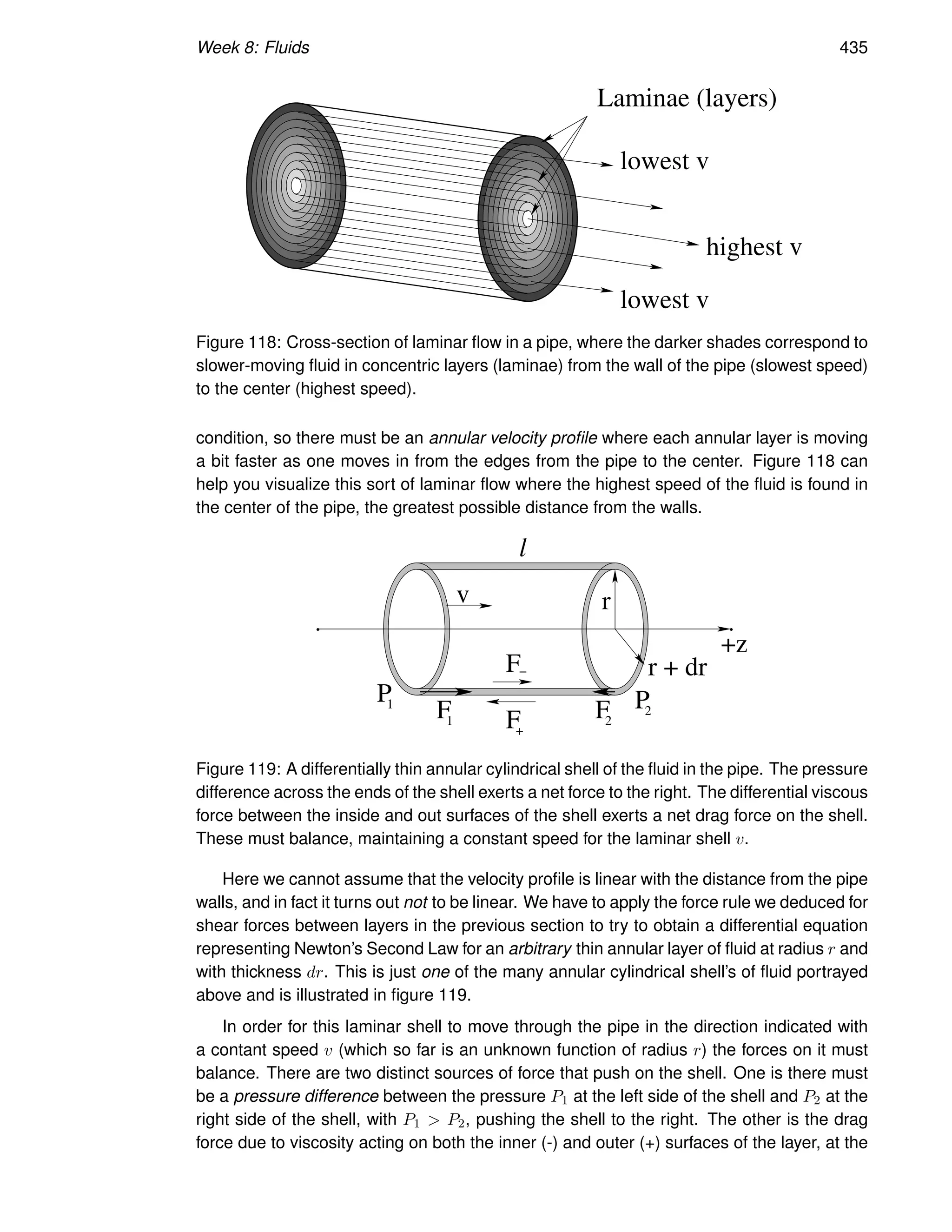 Week 8: Fluids 435
Laminae (layers)
lowest v
lowest v
highest v
Figure 118: Cross-section of laminar flow in a pipe, where the darker shades correspond to
slower-moving fluid in concentric layers (laminae) from the wall of the pipe (slowest speed)
to the center (highest speed).
condition, so there must be an annular velocity profile where each annular layer is moving
a bit faster as one moves in from the edges from the pipe to the center. Figure 118 can
help you visualize this sort of laminar flow where the highest speed of the fluid is found in
the center of the pipe, the greatest possible distance from the walls.
l
F1
F2
F
F
−
+
r + dr
r
P1 P2
v
+z
Figure 119: A differentially thin annular cylindrical shell of the fluid in the pipe. The pressure
difference across the ends of the shell exerts a net force to the right. The differential viscous
force between the inside and out surfaces of the shell exerts a net drag force on the shell.
These must balance, maintaining a constant speed for the laminar shell v.
Here we cannot assume that the velocity profile is linear with the distance from the pipe
walls, and in fact it turns out not to be linear. We have to apply the force rule we deduced for
shear forces between layers in the previous section to try to obtain a differential equation
representing Newton’s Second Law for an arbitrary thin annular layer of fluid at radius r and
with thickness dr. This is just one of the many annular cylindrical shell’s of fluid portrayed
above and is illustrated in figure 119.
In order for this laminar shell to move through the pipe in the direction indicated with
a contant speed v (which so far is an unknown function of radius r) the forces on it must
balance. There are two distinct sources of force that push on the shell. One is there must
be a pressure difference between the pressure P1 at the left side of the shell and P2 at the
right side of the shell, with P1  P2, pushing the shell to the right. The other is the drag
force due to viscosity acting on both the inner (-) and outer (+) surfaces of the layer, at the
 