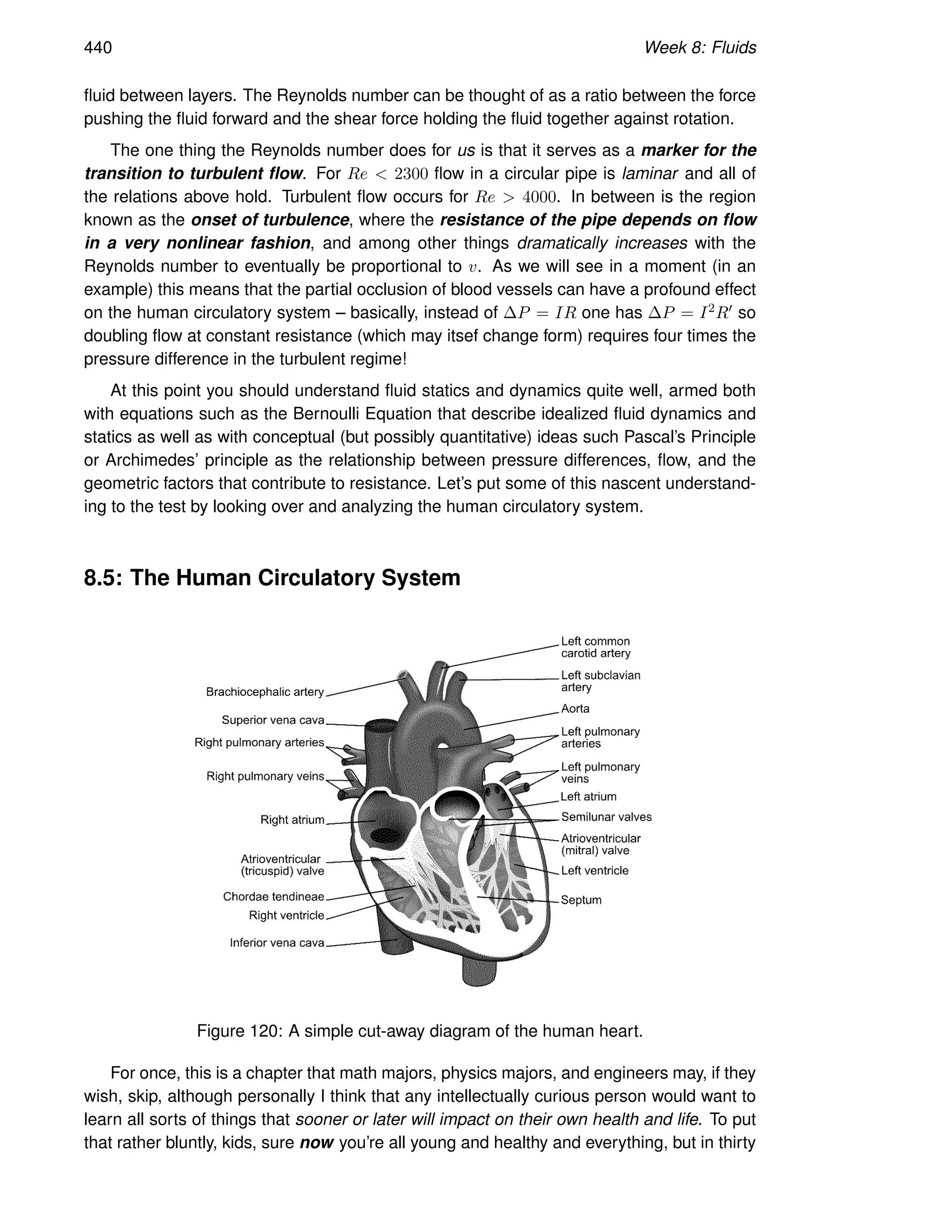 440 Week 8: Fluids
fluid between layers. The Reynolds number can be thought of as a ratio between the force
pushing the fluid forward and the shear force holding the fluid together against rotation.
The one thing the Reynolds number does for us is that it serves as a marker for the
transition to turbulent flow. For Re  2300 flow in a circular pipe is laminar and all of
the relations above hold. Turbulent flow occurs for Re  4000. In between is the region
known as the onset of turbulence, where the resistance of the pipe depends on flow
in a very nonlinear fashion, and among other things dramatically increases with the
Reynolds number to eventually be proportional to v. As we will see in a moment (in an
example) this means that the partial occlusion of blood vessels can have a profound effect
on the human circulatory system – basically, instead of ∆P = IR one has ∆P = I2R′ so
doubling flow at constant resistance (which may itsef change form) requires four times the
pressure difference in the turbulent regime!
At this point you should understand fluid statics and dynamics quite well, armed both
with equations such as the Bernoulli Equation that describe idealized fluid dynamics and
statics as well as with conceptual (but possibly quantitative) ideas such Pascal’s Principle
or Archimedes’ principle as the relationship between pressure differences, flow, and the
geometric factors that contribute to resistance. Let’s put some of this nascent understand-
ing to the test by looking over and analyzing the human circulatory system.
8.5: The Human Circulatory System
Figure 120: A simple cut-away diagram of the human heart.
For once, this is a chapter that math majors, physics majors, and engineers may, if they
wish, skip, although personally I think that any intellectually curious person would want to
learn all sorts of things that sooner or later will impact on their own health and life. To put
that rather bluntly, kids, sure now you’re all young and healthy and everything, but in thirty
 