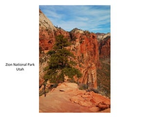 Zion National Park Utah 