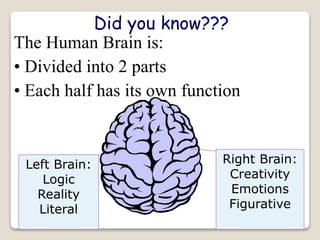 Right Brain:
Creativity
Emotions
Figurative
Left Brain:
Logic
Reality
Literal
Did you know???
The Human Brain is:
• Divided into 2 parts
• Each half has its own function
 