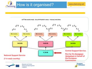 National Support Service  (1 in each country) Central Support Service. Run by the  European Schoolnet  on behalf of the European Commission 