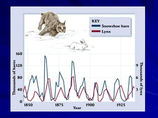 Um modelo verbal de ciclos de predador e
    presa:
1. Predadores se alimentam de presa o qual
    reduz o número de presa...