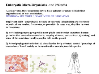 Eukaryotic Micro-Organisms - the Protozoa  As eukaryotes, these organisms have a basic cellular structure with distinct organelles and at least one nucleus. PROTOZOA ARE MOTILE, SINGLE-CELLED ORGANISMS Important point - all protozoa, because of their size (unicellular) are effectively aquatic, either marine, freshwater, or parasitic. In some way, they live in a wet environment. 1) Very heterogeneous group with many phyla that includes important human parasites that cause disease (malaria, sleeping sickness, beaver fever, dysentery) and some of the most structurally complex cells on the planet  2) Actual phylogenetic relations & classification hotly debated; several 'groupings of convenience' based mainly on locomotion that contain parasitic species:  