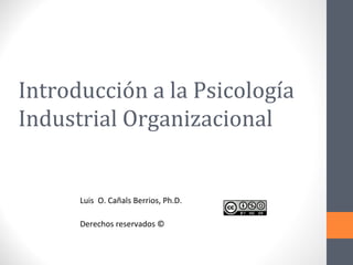 Introducción a la Psicología Industrial Organizacional Luis  O. Cañals Berrios, Ph.D. Derechos reservados © 