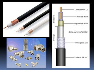 El servidorEs el elemento principal de procesamiento, contiene el sistema operativo de red y se encarga de administrar todos los procesos dentro de ella, controla también el acceso a los recursos comunes como son las impresoras y las unidades de almacenamiento.El sistema operativo de red (NOS, NetworkOperatingSystem)Es el programa (software) que permite el control de la red y reside en el servidor. Ejemplos de estos sistemas operativos de red son: NetWare, OS/2, LANtastic, Novell, Linux, Unix, Windows Server, etc..