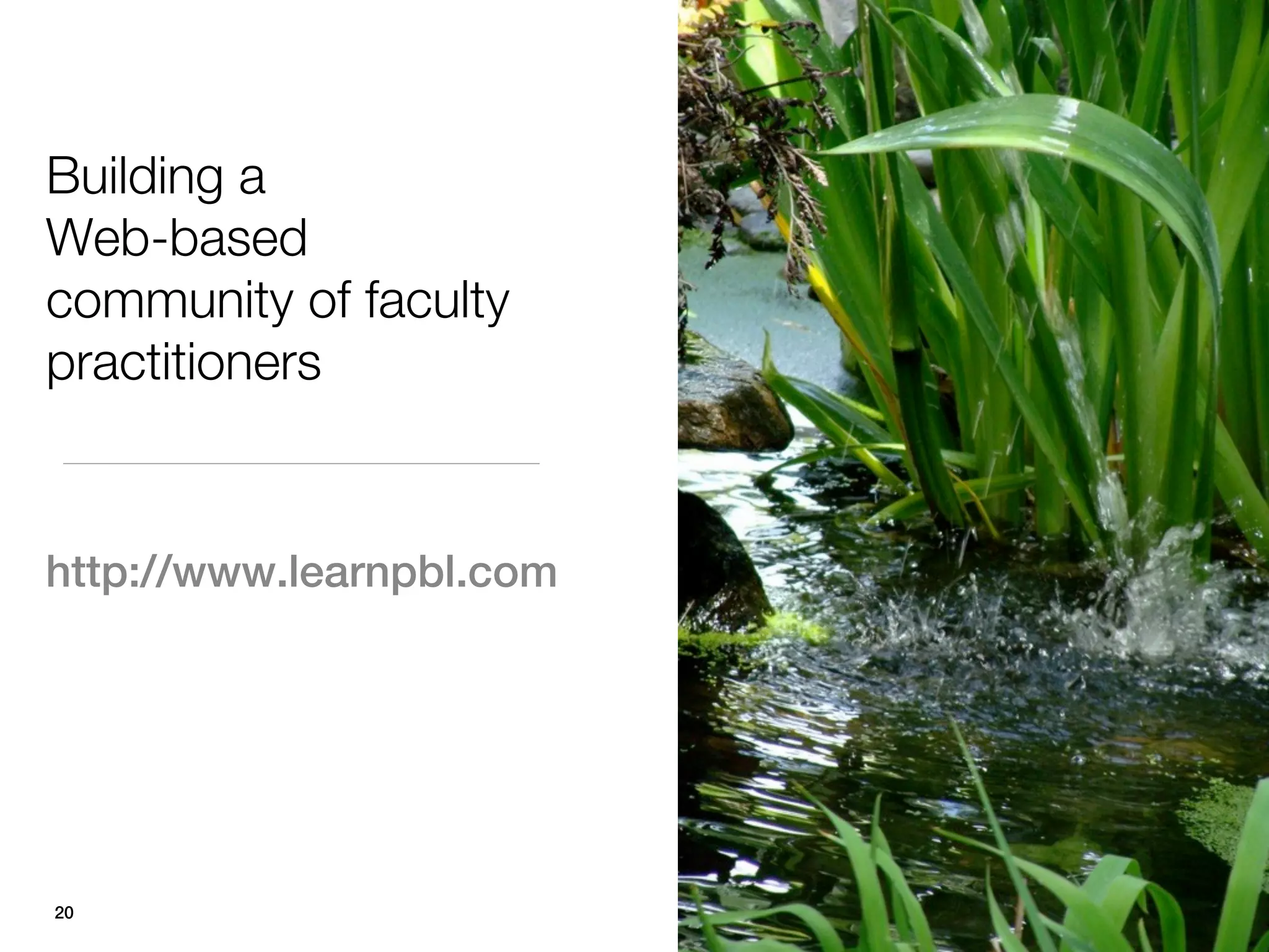 Building a
Web-based
community of faculty
practitioners


http://www.learnpbl.com




20
 