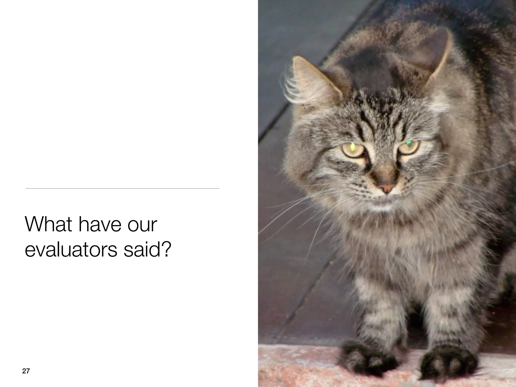 What have our
evaluators said?




27
 