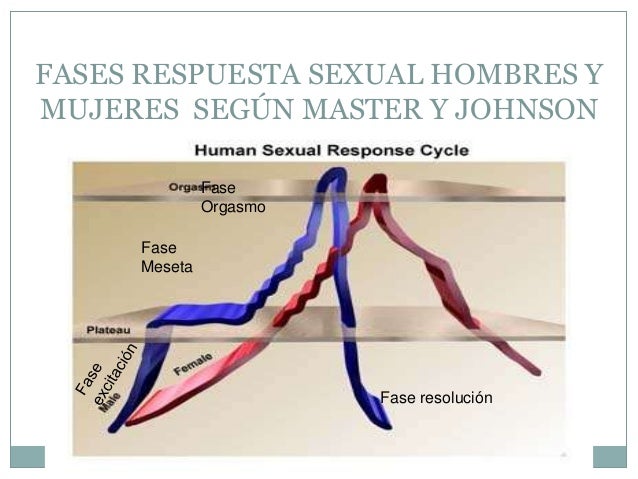Introducción a la sexualidad humana