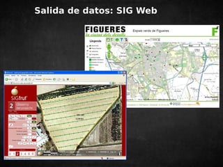 Salida de datos: SIG Web 
 