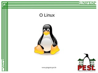O Linux




 www.pinguim.pro.br
 