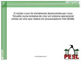 O núcleo Linux foi inicialmente desenvolvido por Linus
 Torvalds numa tentativa de criar um sistema operacional
similar ao Unix que rodava em processadores Intel 80386.




                    www.pinguim.pro.br
 