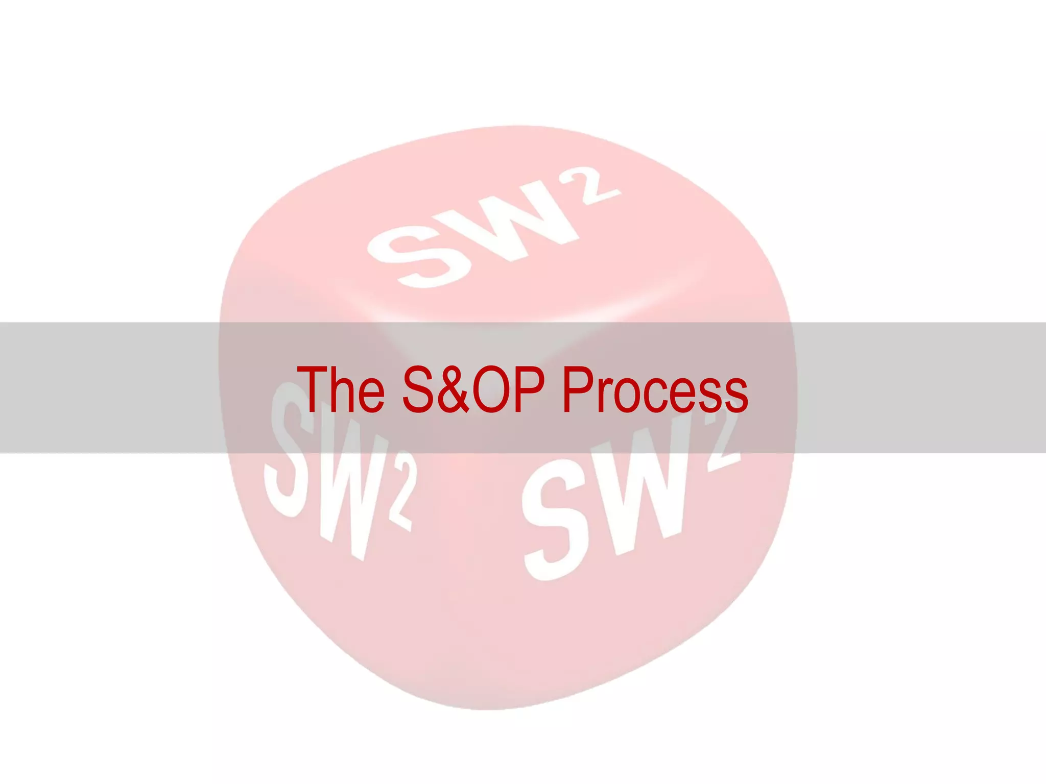 The S&OP Process
 